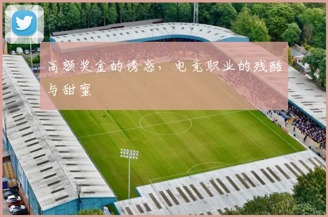 高额奖金的诱惑，电竞职业的残酷与甜蜜