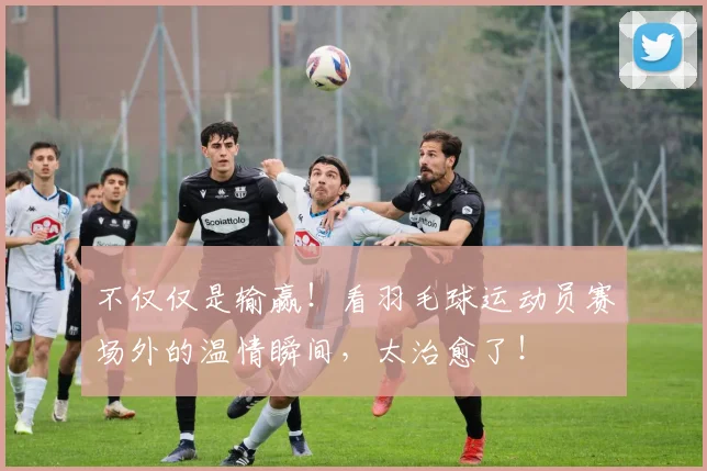 不仅仅是输赢！看羽毛球运动员赛场外的温情瞬间，太治愈了！