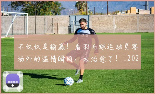 不仅仅是输赢！看羽毛球运动员赛场外的温情瞬间，太治愈了！_20260531151203_20260702174358