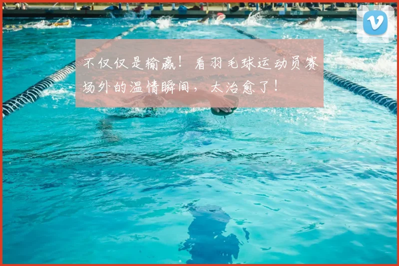 不仅仅是输赢！看羽毛球运动员赛场外的温情瞬间，太治愈了！